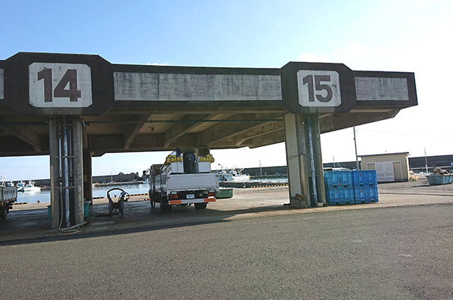 漁協の水揚場15番